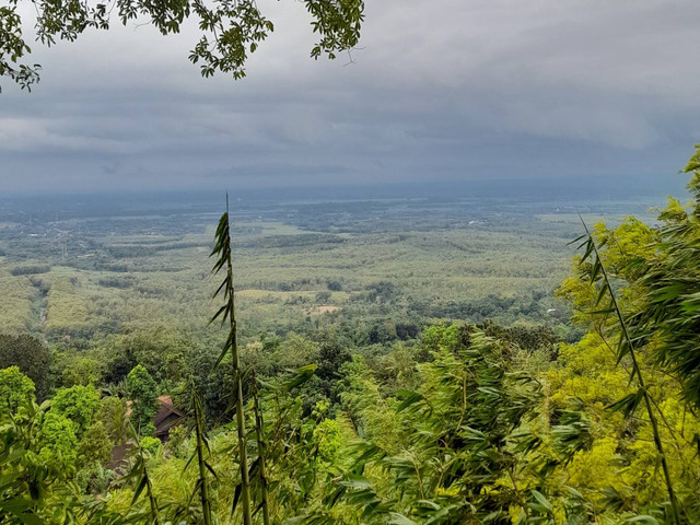 Pemandangan Bukit Jatipohon (Sumber: Shelya Alviani Irawan/Pribadi)