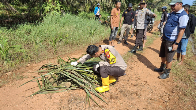 Polisi mengidentifikasi mayat pria di aliran parit kebun sawit di Desa Kepayang Mempawah. Foto: Dok. Istimewa