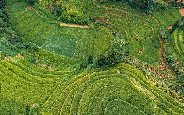 Wisata Edukasi Lontar Sewu Gresik. Foto hanya ilustrasi, bukan tempat sebenarnya. Sumber: pexels.com/Duc Nguyen