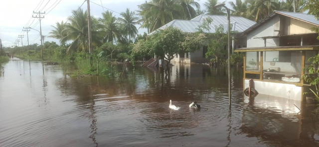 Banjir merendam permukiman warga di Mempawah. Foto: M. Zain/Hi!Pontianak