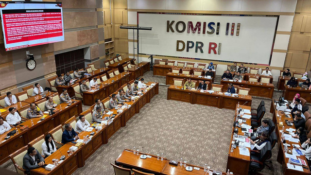 Rapat dengar pendapat (RDP) Komisi II DPR RI dengan Kapolda Kalimantan Tengah, Kapolres Jakarta Timur dan Ayu Darmawati di Kompleks Senayan, Jakarta, Selasa (17/12/2024). Foto: Haya Syahira/kumparan