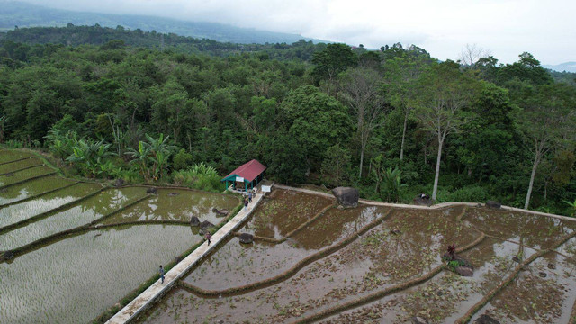 Tampak Atas Situs Tegur Wangi (Dokumentasi BPK Wilayah VI Sumatera Selatan)