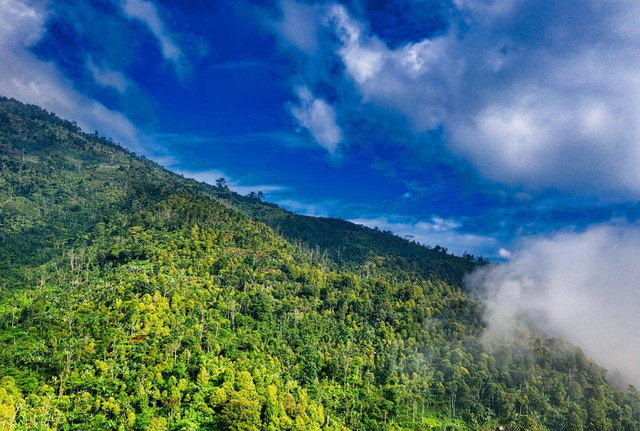 Puncak B29, Foto Hanya Ilustrasi, Bukan Gambar Sebenarnya, Sumber Foto: Pexels/Tom Fisk