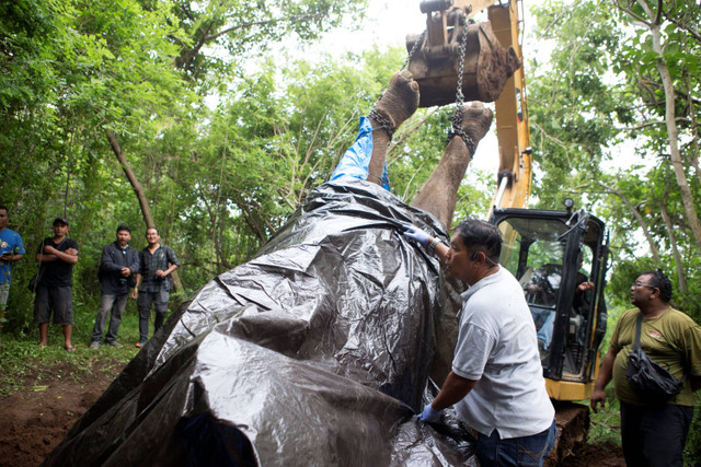 Petugas menggunakan alat berat saat melakukan evakuasi seekor gajah sumatera (Elephas maximus sumatranus) koleksi Bali Zoo yang ditemukan mati di kawasan Sungai Cengceng, Desa Guwang, Gianyar, Bali, Selasa (17/12/2024). Foto: Firdia Lisnawati/AP Photo