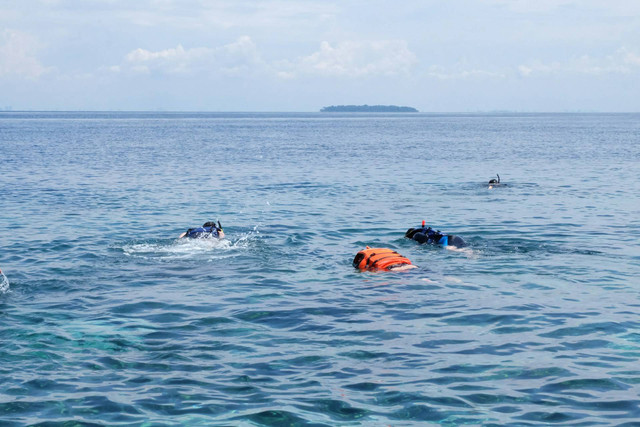 Pulau Panjang Jepara. Foto hanya ilustrasi, bukan tempat sebenarnya. Sumber: Unsplash/James Tiono