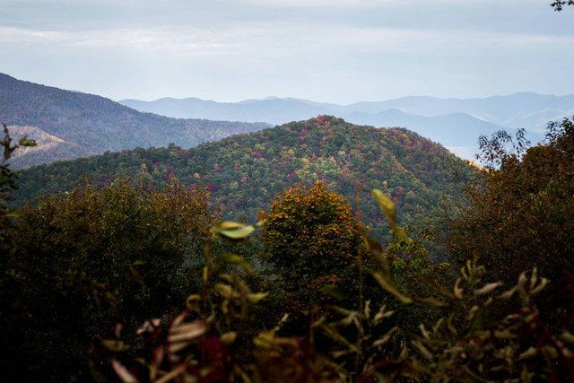 Bukit di Gresik. Foto hanya ilustrasi, bukan tempat sebenarnya. Foto: dok. Unsplash/Nathan Anderson