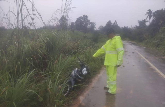 TKP pohon tumbang yang menewaskan pemotor di di Desa Mekar Mandiri, Kecamatan Kayan Hilir, Kabupaten Sintang, Selasa 17 Desember 2024. Foto: Dok. Istimewa