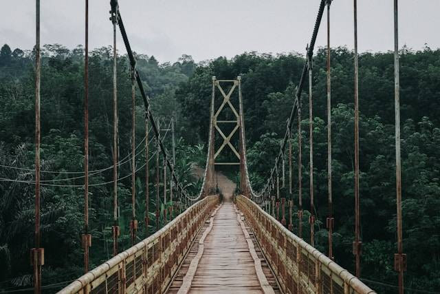 Jembatan Gantung Lembah Purba, foto hanya ilustrasi, bukan tempat sebenarnya: Unsplash/Devi Puspita Amartha Yahya