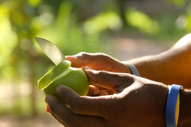 Ilustrasi Senjata Tradisional Sulawesi Selatan. Foto: dok. Unsplash/Timon Studler