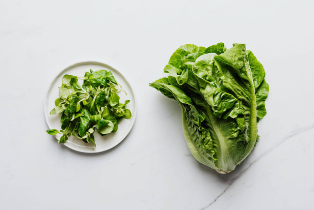 Ilustrasi Cara Menanam Selada Romaine, Pexels/Photo By: Kaboompics.com