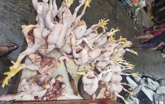 Ayam yang dijual pedagang di Pasar Kramat Jati, Jakarta Timur pada Sabtu (21/12/2024).  Foto: Argya D. Maheswara/kumparan 