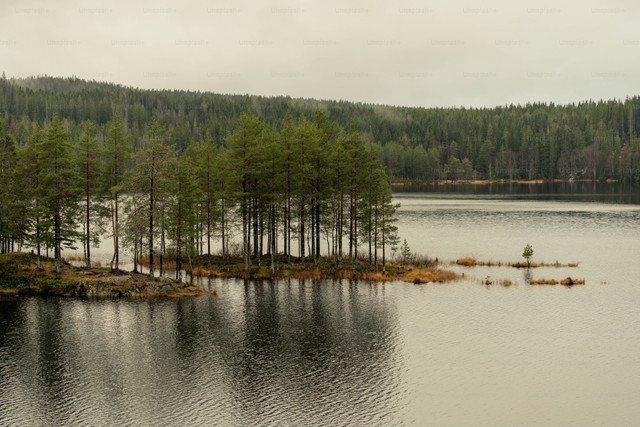 Ilustrasi Waduk Cengklik/Unsplash/Hans Ott