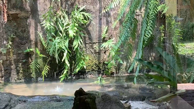 Kebun Binatang Ragunan/Dokumentasi Pribadi