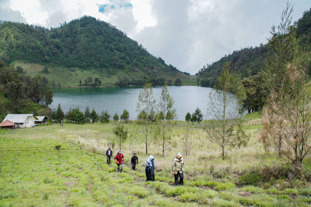 Sejumlah petugas mendaki Tanjakan Cinta di Kawasan Taman Nasional Bromo Tengger Semeru (TNBTS), Lumajang, Jawa Timur, Senin (23/12/2024). Foto: Irfan Sumanjaya/ANTARA FOTO