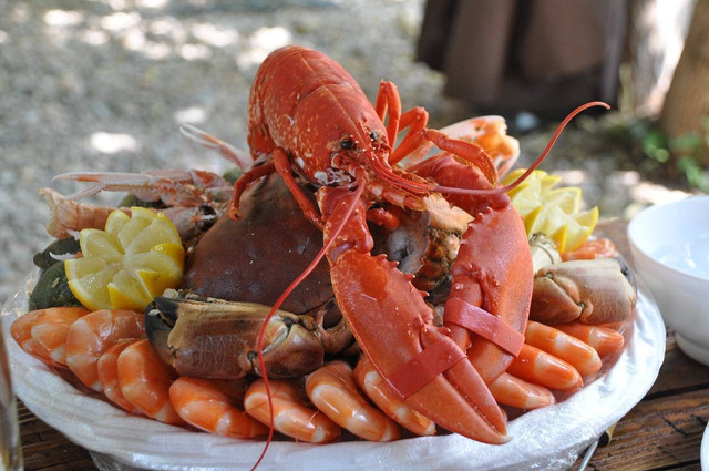 Ilustrasi cara pemijahan lobster air tawar, Foto: Pixabay/NadineDoerle