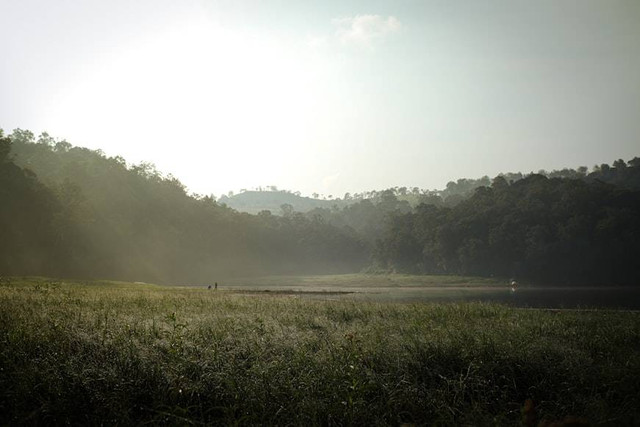 Larangan di Situ Patenggang. Foto adalah Situ Patenggang. Sumber: Unsplash/Fadhila Nurhakim