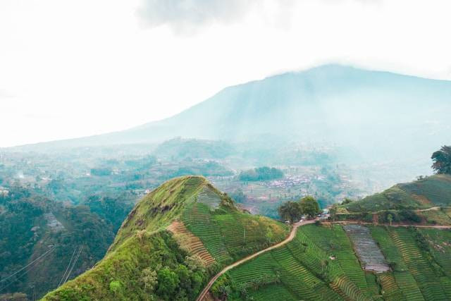 Wisata Kemuning Solo Raya. Foto Hanya Ilustrasi, Bukan Sebenarnya. Sumber Foto: Unsplash.com/Fahry Ryan on Unsplash