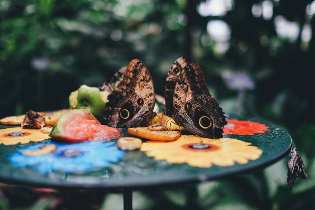 Tempat wisata di Bandar Lampung yang lagi hits. Foto hanya ilustrasi, bukan tempat sebenarnya. Sumber: Unsplash/Anni Spratt