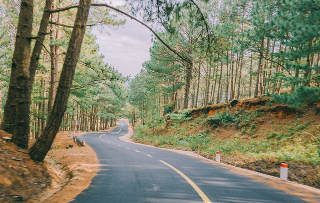 Rekomendasi tempat wisata di Pangalengan. Foto hanya ilustrasi, bukan yang sebenarnya. Sumber: Pexels/Min An