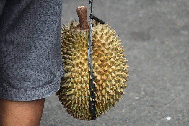 Kampung Durian Trawas. Foto buah durian. Sumber: Unsplash/Mufid Majnun