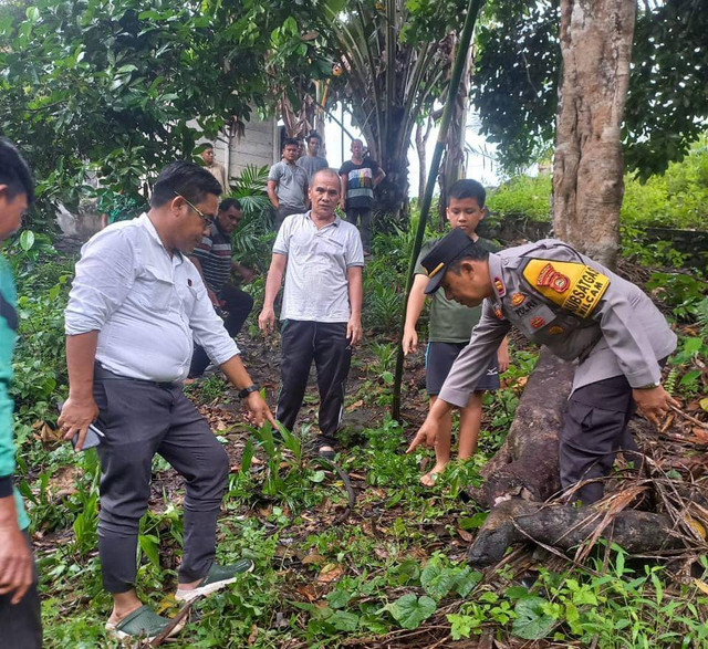 Lokasi kejadian kakek yang meninggal usai jatuh dari pohon durian. Foto : Dok Polisi