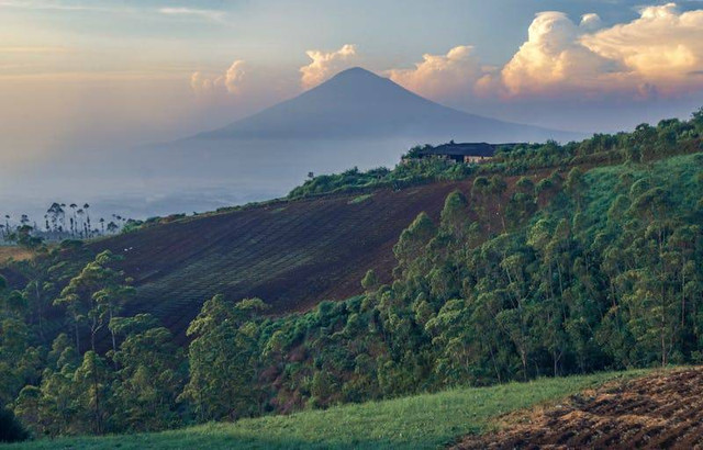 5 Wisata Kopeng Salatiga. Foto hanya ilustrasi, bukan tempat yang sebenarnya. Sumber: Pexels/Niko Desmon.