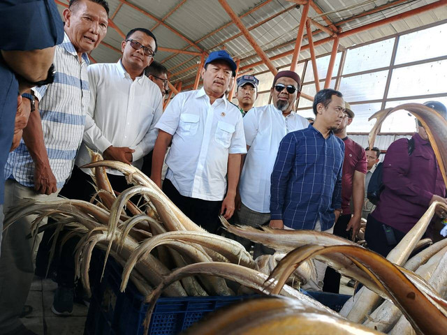 Menteri KKP RI, Sakti Wahyu Trenggono, saat melakukan peninjauan ke TPI dan Cold Storage Karangsong di Kecamatan Indramayu, Kabupaten Indramayu, Jawa Barat. (Foto: dok. Ciremaitoday.com)