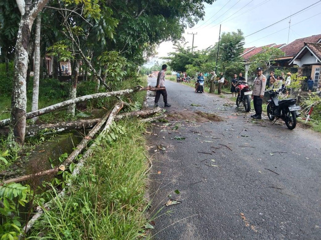 Lokasi tiga warga tertimpa pohon tumbang di Jalan Umum Kampung Way Tuba Asri, Kecamatan Way Tuba, Kabupaten Way Kanan. | Foto: Dok Humas Polres Way Kanan