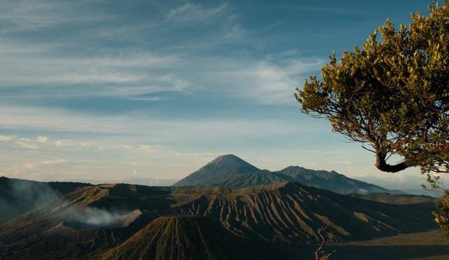 Ilustrasi East Java atau Jawa Timur. Foto: Pexels