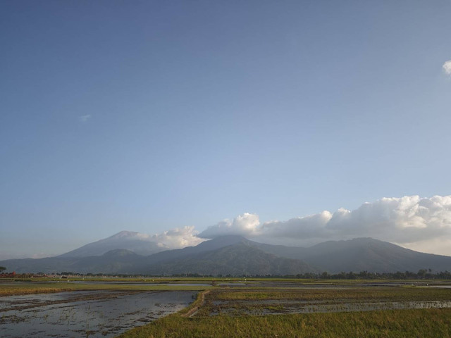 Lahan sawah di Banyubiru Kabupaten Semarang (photo pribadi)