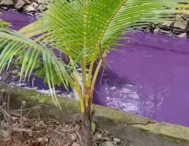 Tangkapan layar video kali di Perumahan Bukit Tiara Tangerang yang airnya berwarna ungu. Dok: Instagram @cikupaupdate