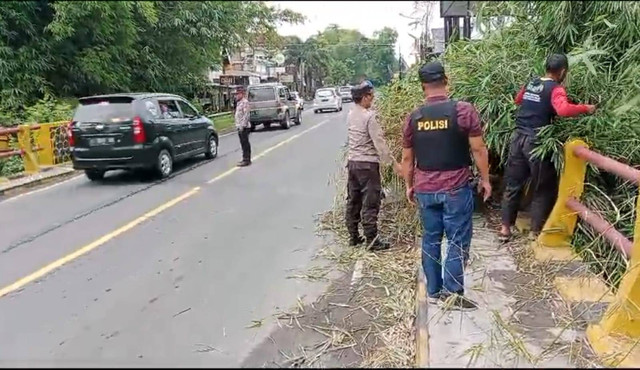 Patroli Polsek Gondang Temukan Ranting Pohon Bambu Melintang Kebahu Jalan