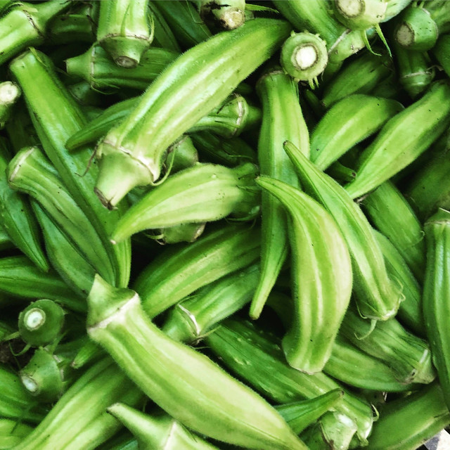 Tanaman Okra. Foto: Elianna Friedman/Unsplash