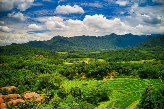 Ilustrasi Sejarah Gunung Cupu di Purwakarta. Pexels/Tom Fisk