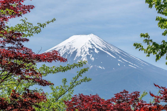 Ilustrasi Sejarah Gunung Fuji. Pexels/Pixabay