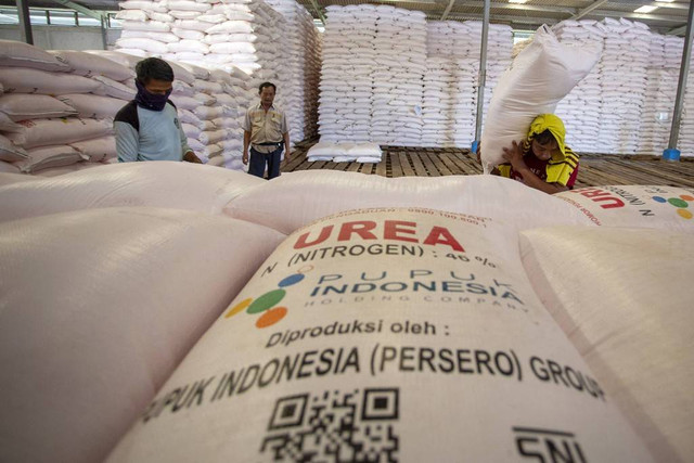 Pekerja mengangkut pupuk urea di gudang lini 3 Jatibarang pupuk Kujang, Indramayu, Jawa Barat, Rabu (12/7/2023). Foto: ANTARA FOTO/Dedhez Anggara