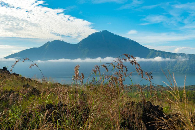 Ilustrasi Sejarah Gunung Halimun, Freepik/Nikitabuida