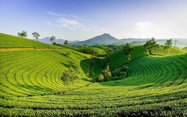 Ilustrasi sejarah Gunung Gumitir, Foto: Pixabay/Oliver_Nguyen