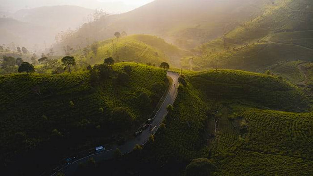 Wisata kebun teh di Bandung. Foto adalah Sunrise Point Cukul. Daniel Nainggolan