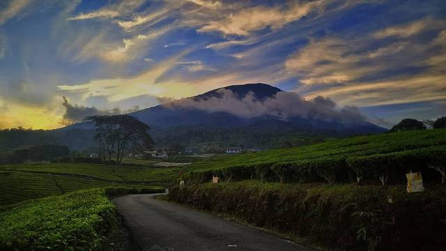 Gunung Dempo, Sumatera Selatan. Foto: Instagram Dempo3159