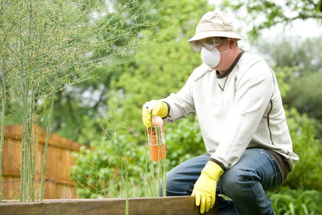 Penting bagi petani untuk terdaftar dalam sistem e-RDKK. Foto: Pexels.com