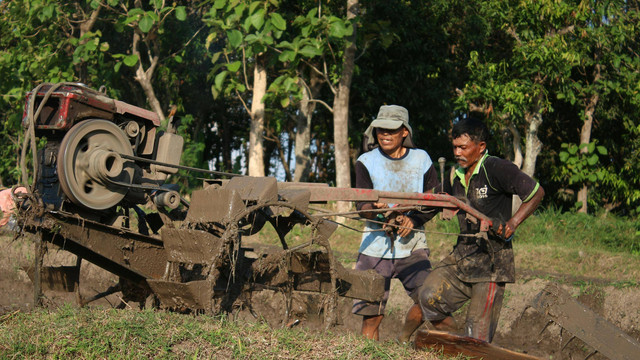 Ilustrasi cara mengoperasikan traktor sawah. Pexels/RUDI GUZTI