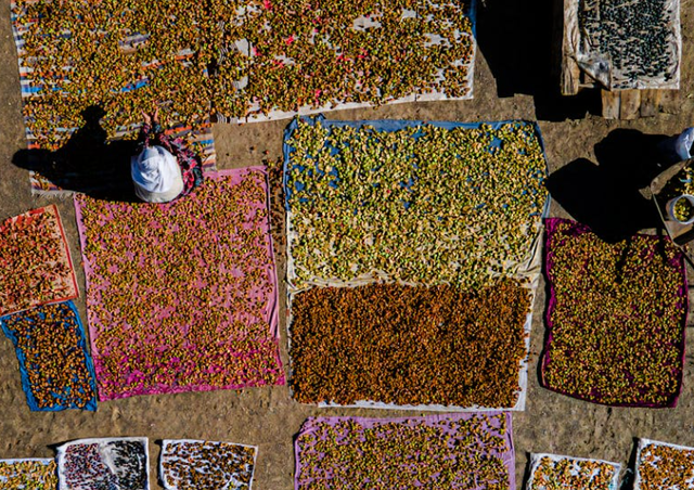 makanan khas ntt. Foto Hanya Ilustrasi Bukan Kuliner Sebenarnya. Sumber Foto: Pexels/Betul Simsek