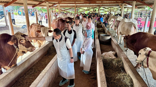 Pj Gubernur Jatim Adhy Karyono saat meninjau peternakan sapi. Foto: Humas Pemprov Jatim