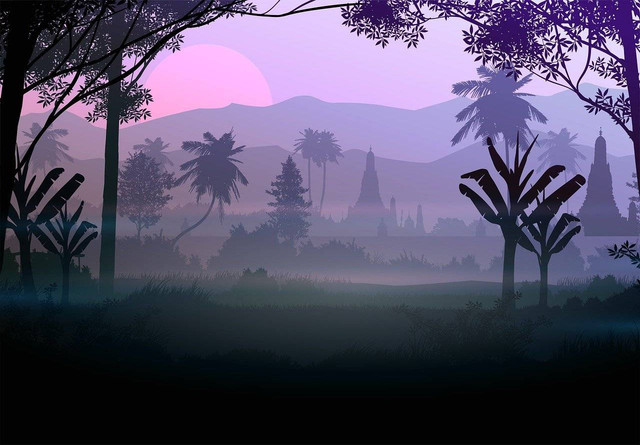 https://pixabay.com/illustrations/forest-trees-fog-silhouette-mist-5855196/