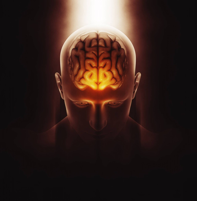 Photo By KJPARGETER sumber : https://www.freepik.com/free-photo/3d-render-medical-image-male-figure-with-brain-highlighted_1138374.htm#fromView=search&page=1&position=16&uuid=256f615d-efd8-4d16-bd36-e7c3f6380103