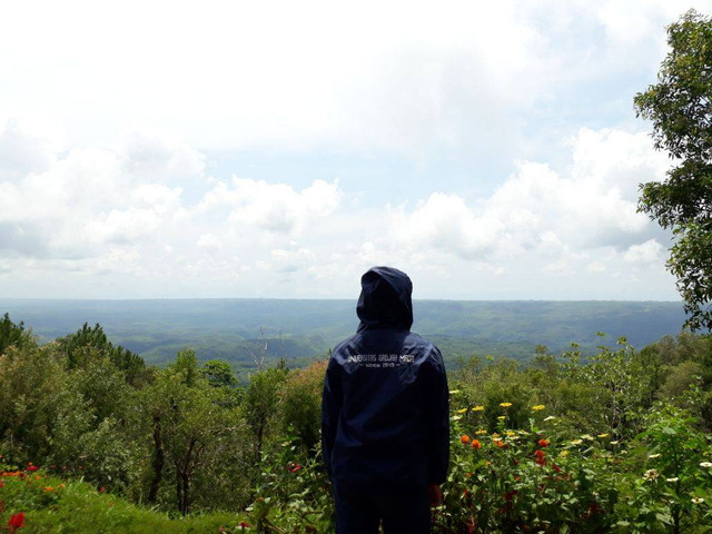 Dokumentasi milik pribadi penulis, Pemandangan Saat berada di Hutan Pinus Mangunan Yogyakarta. Diambil pada pukul 10.40 WIB.