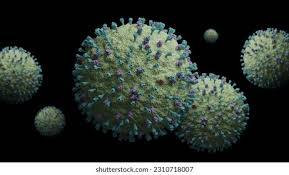 Virus HMPV (Shutterstock/joshimerbin)