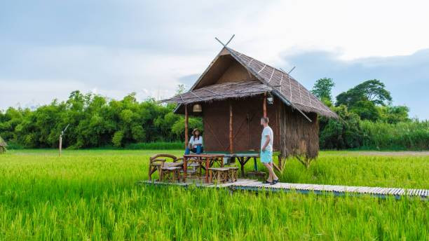 Ilustrasi Ide Usaha Di Kampung, Foto: Unsplash/fokkebok.