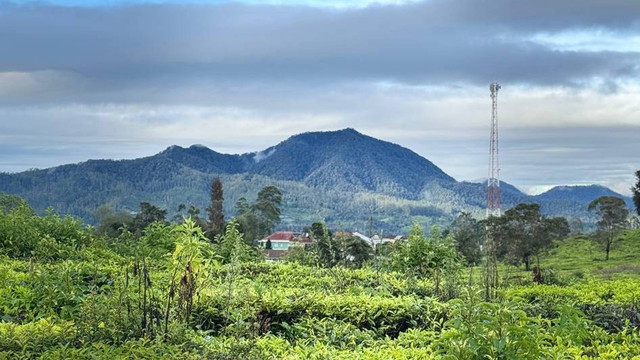 Desa Neglawangi merupakan Desa dibawah kaki Gunung Kendang (Sumber Foto: Istimewa)